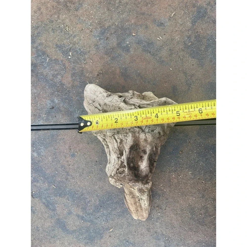 Natural Driftwood for Plants Terrarium‎ Taxidermy Art Projects